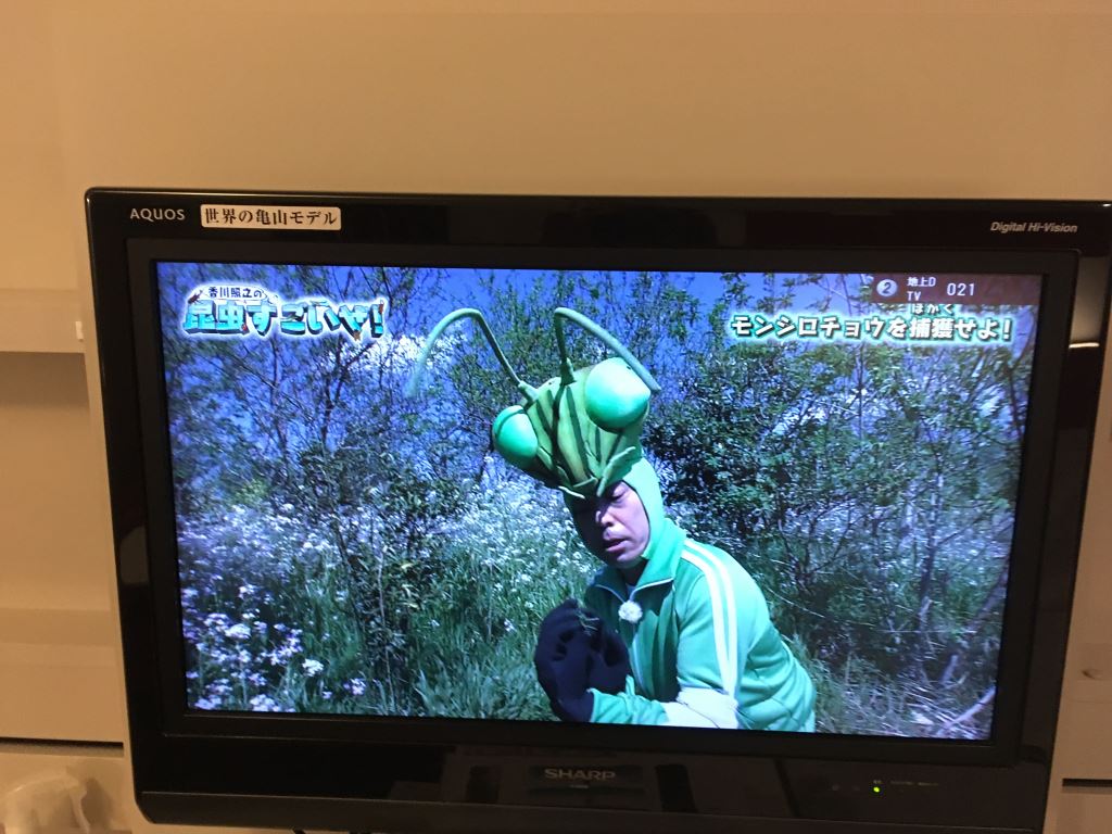 Japanease television show showing a man in a green tracksuit with a hat shaped like an insect's head stands in a field.