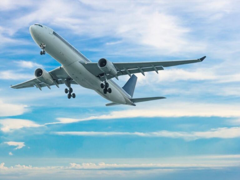 plane in the sky