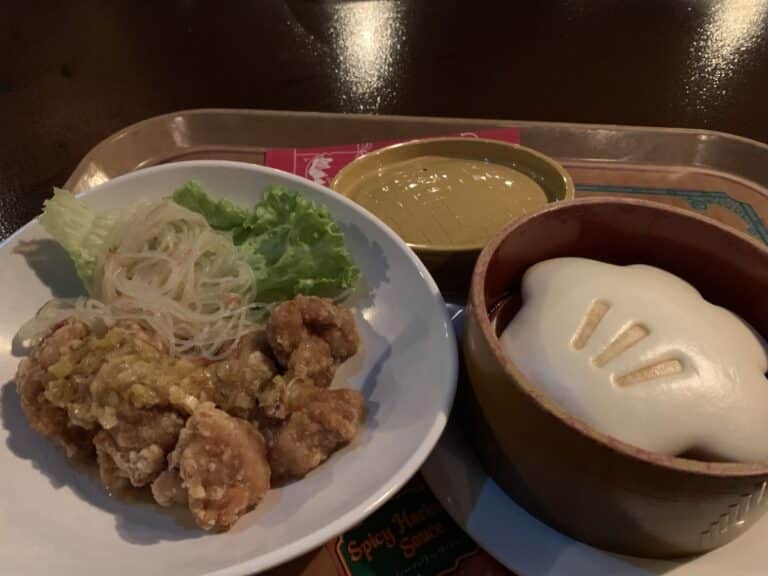 Visiting Tokyo Disneyland with a Picky Eater