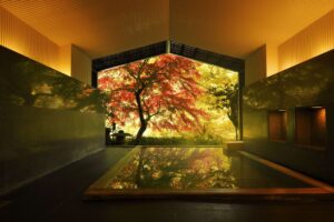 Japanese Onsen Chain Changes Rules on Tattoos