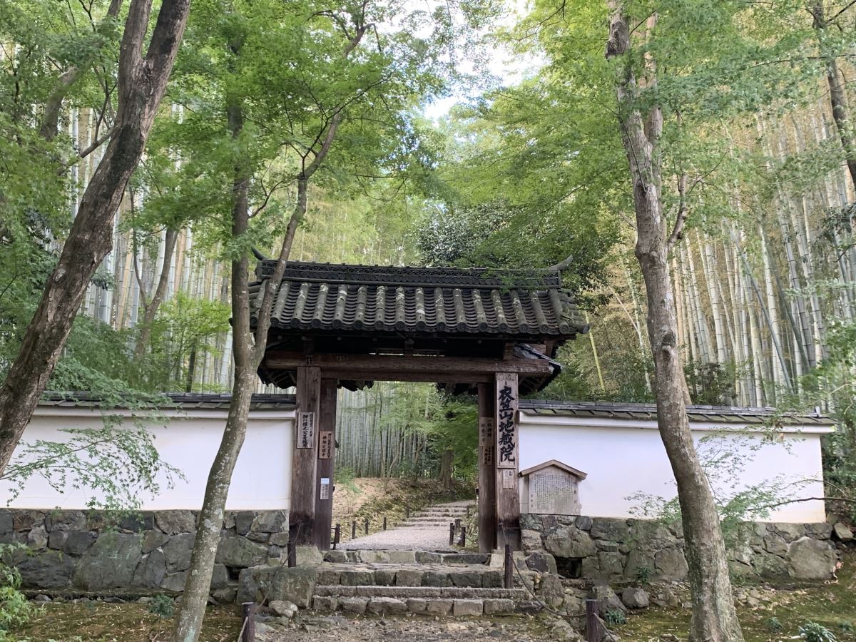 Front gate of the bamboo temple with towering trees behind it