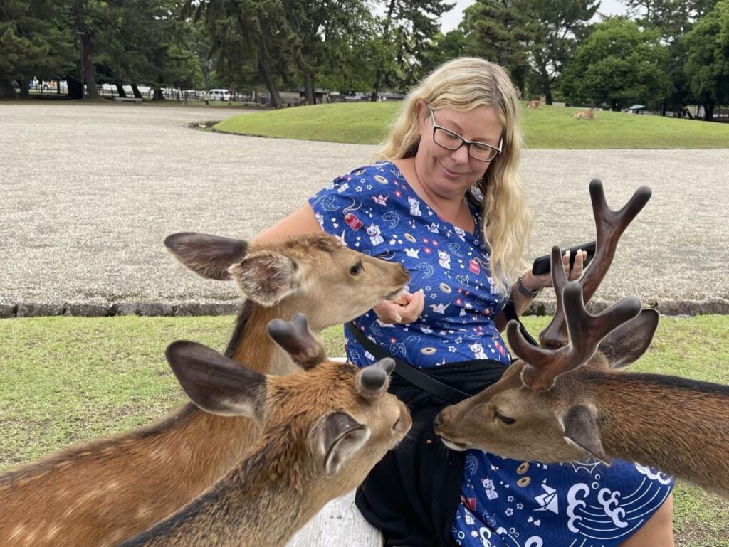 Helen from Japlanease feeds the deer in Nara