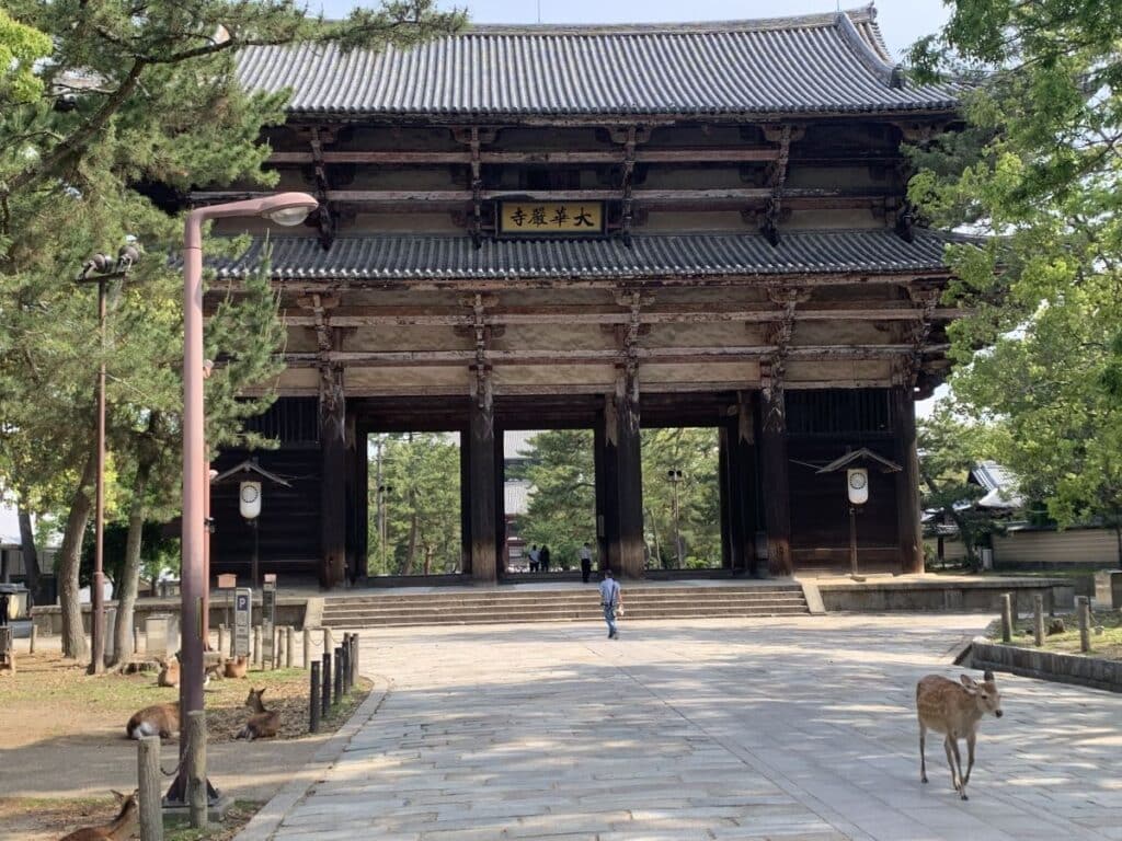 The wooden gate that is the entrance to Todai ji - a deer walks in the foreground