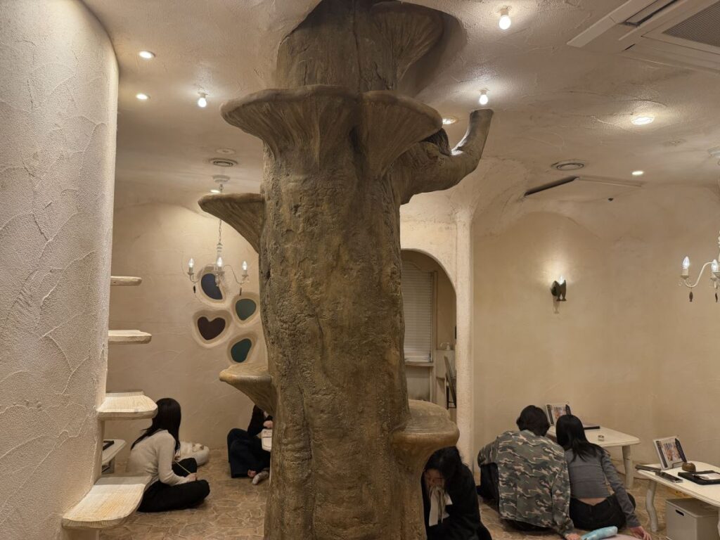 Inside the Cat Cafe in Petit Mura. People sit on the floor playing with cats, a giant tree trunk - which has lots of places for the cats to sleep is in the middle of the room.