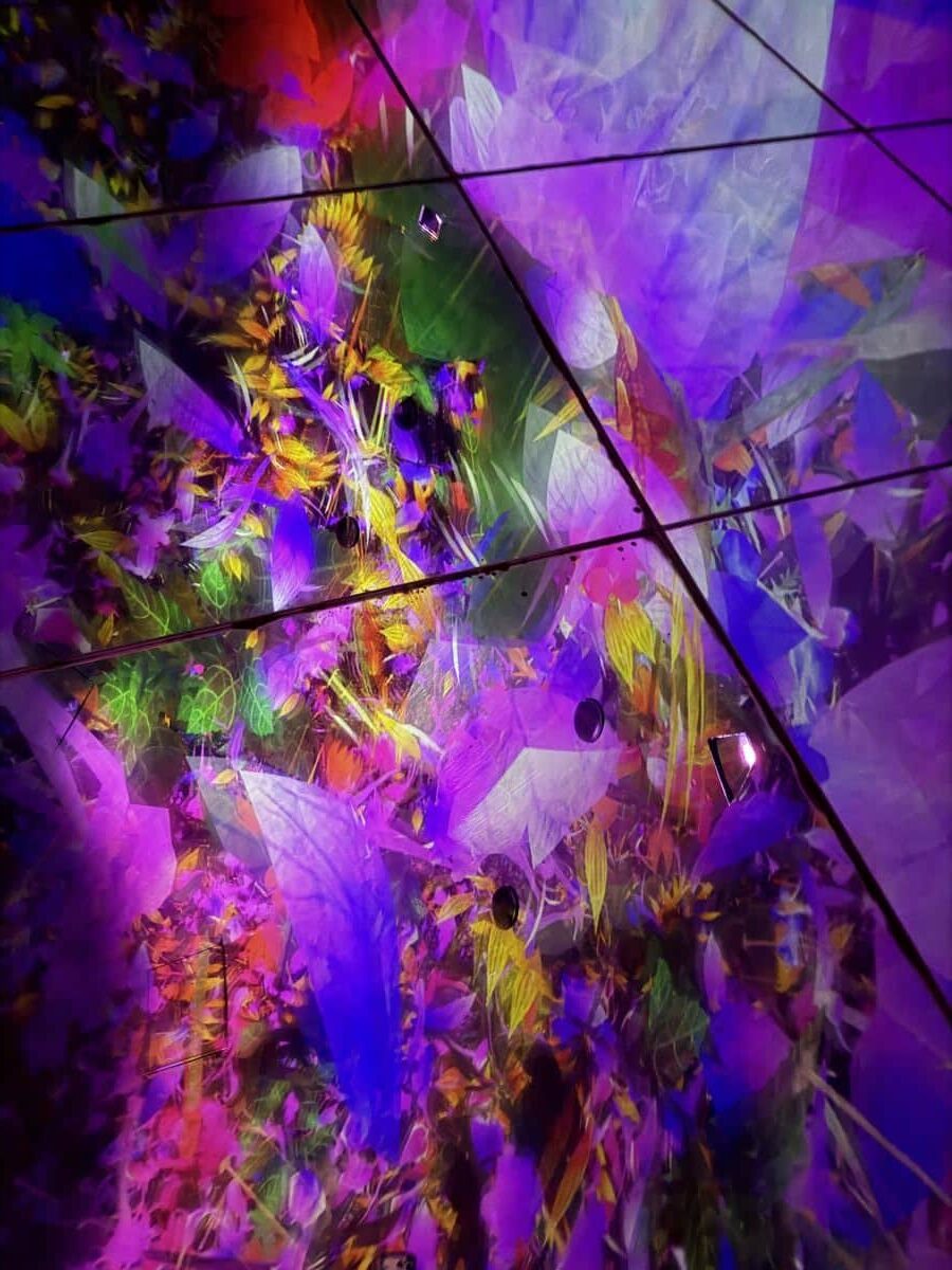 A projection of flowers and leaves on the ceiling at teamLab planets - taken on the mirrored floor. You lie or sit on the ground to view the art
