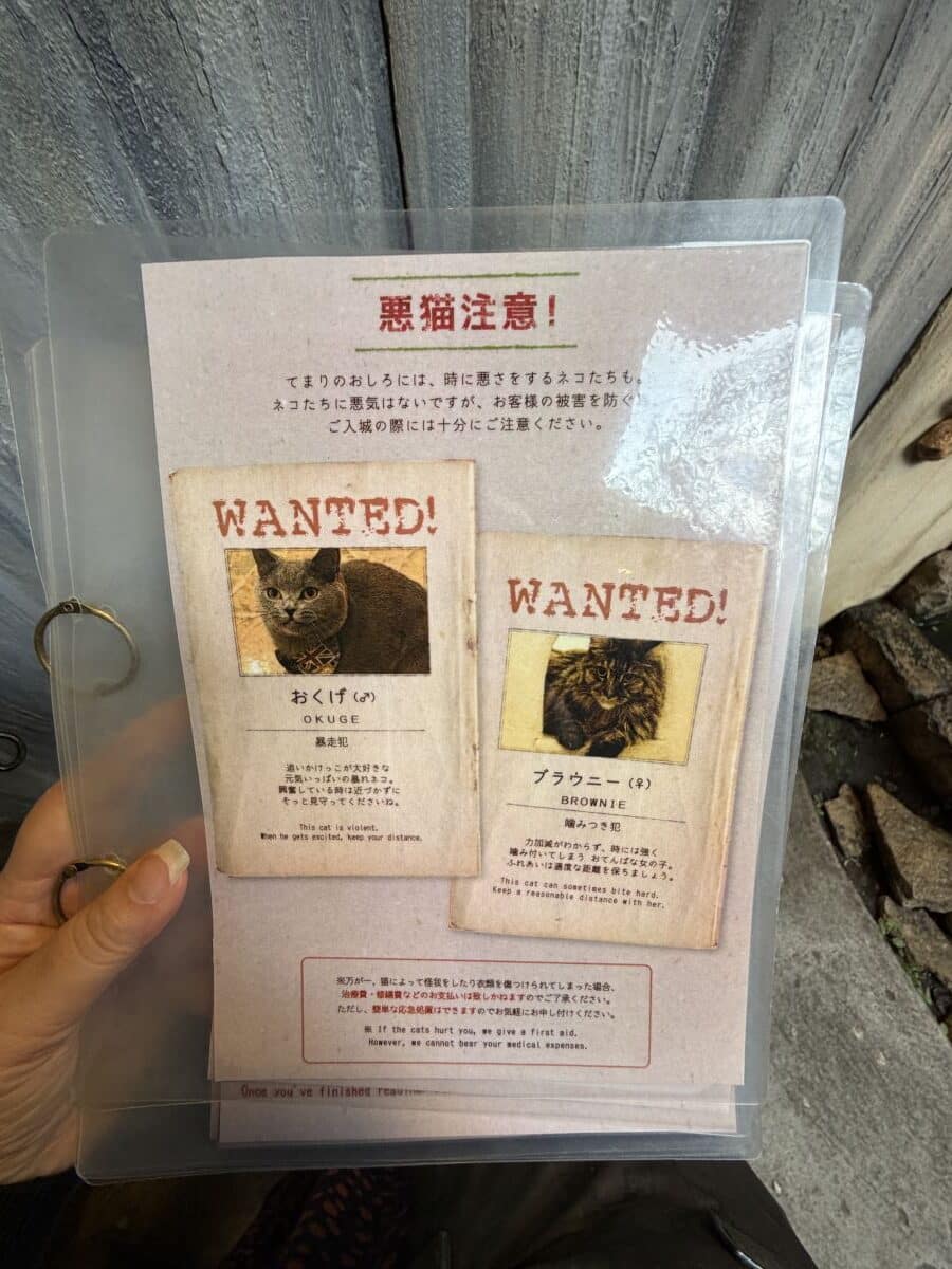 Wanted notices warn guests about the two less sociable cats at the cat cafe