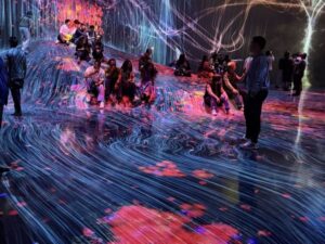 teamLab Borderless or Planets: Which Should You Add to Your Tokyo Plans?