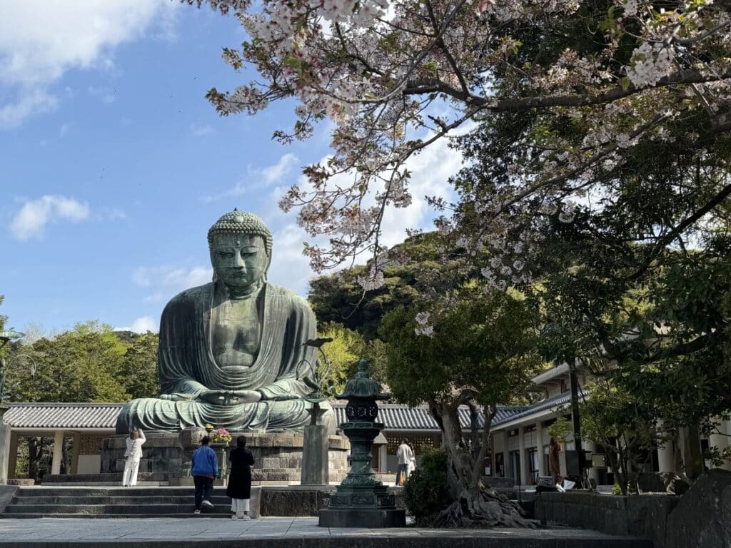 The Great Buddha at Kamakura sits by cherry blossoms