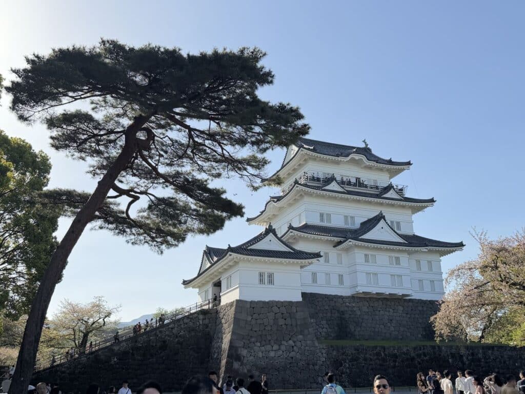 White castle keep at Odawara Castle
