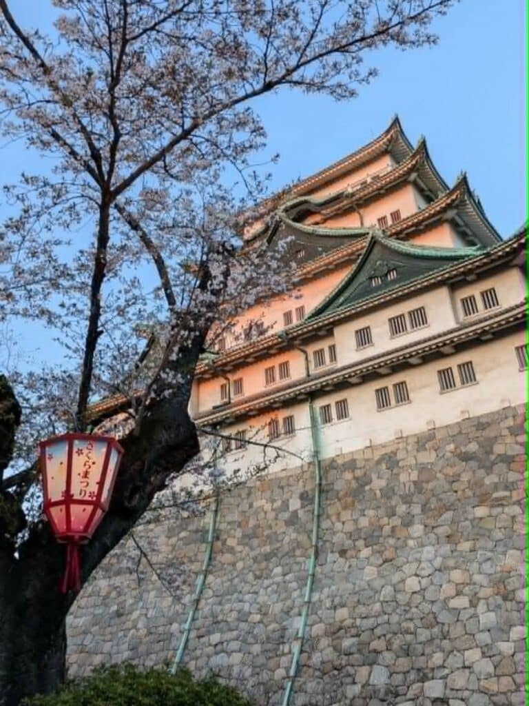 Nagoya Castle with cherry blossoms at sunset