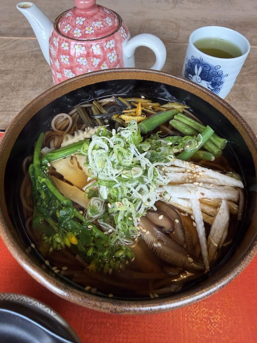 Dish of yasai soba - full of mushrooms, broccoli, green beans, onions, bamboo shoots and more