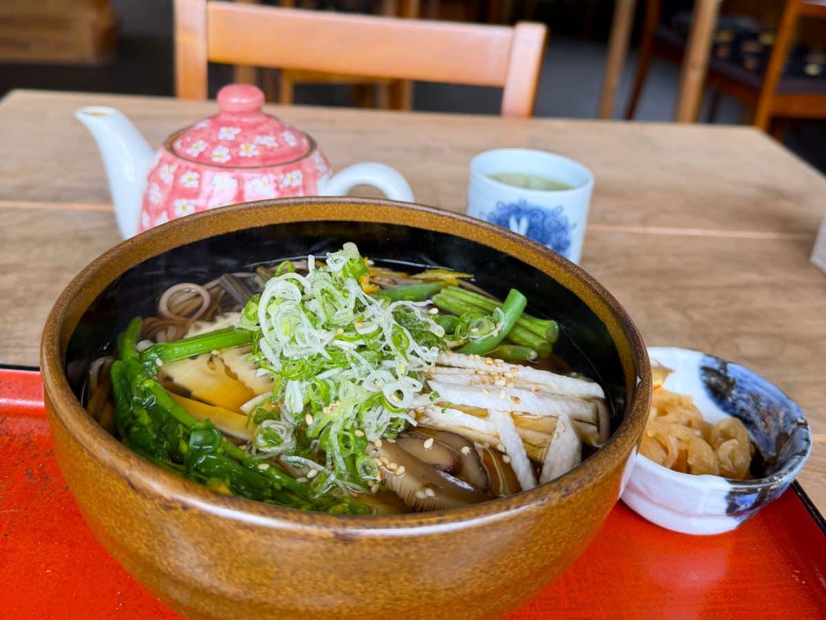 bowl of soba full of vegetables in Kawazu Japan