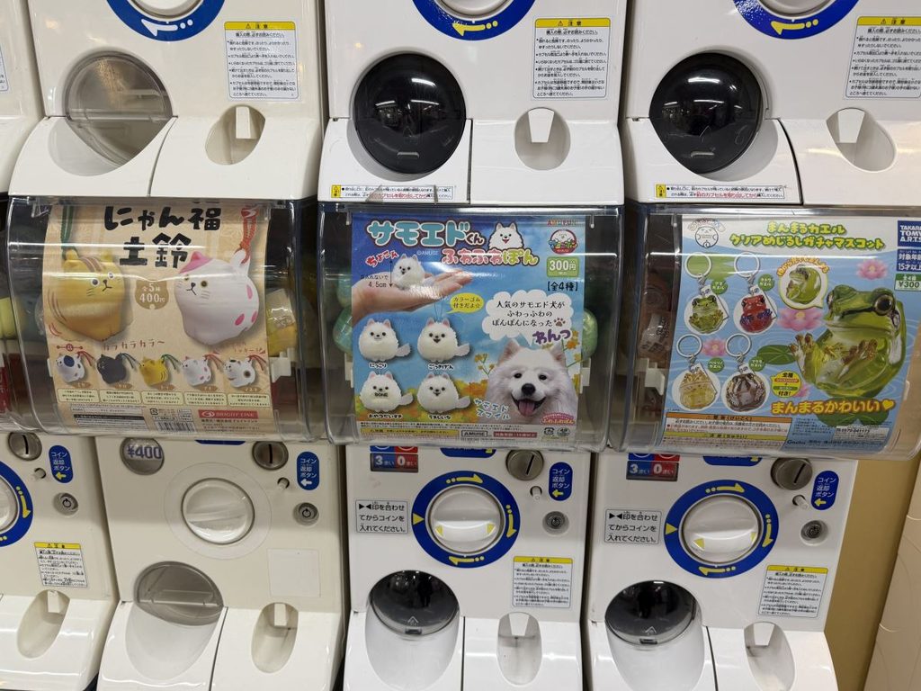Gachapon machines showing toys like dogs made from pom poms and tiny fogs