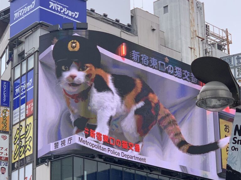 3d cat billboard in Shinjuku, Tokyo