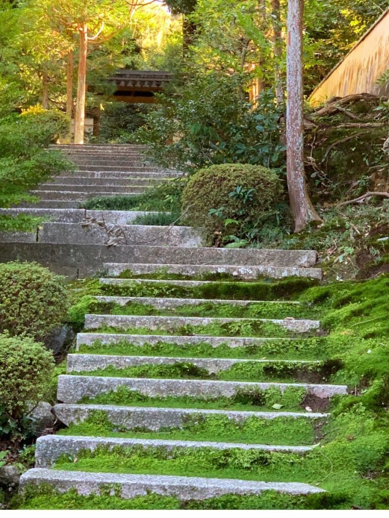 Moss covered steps in Tofukuji