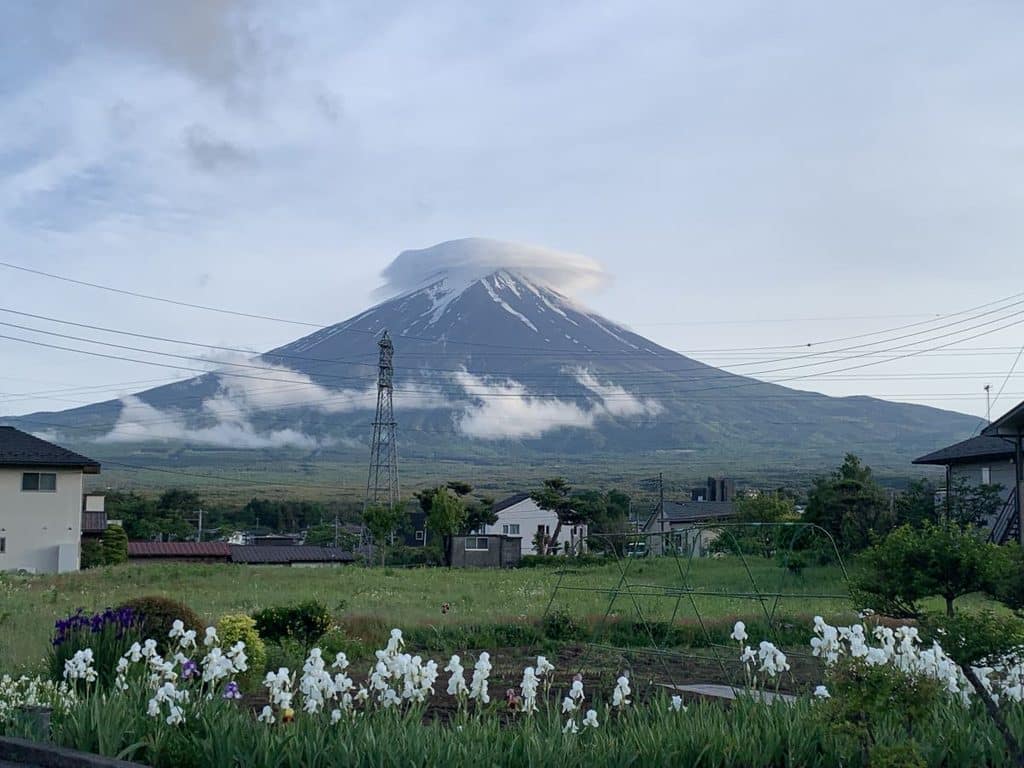 Mount Fuji with fluffy clouds above the cone - and white flowers in front of it. 