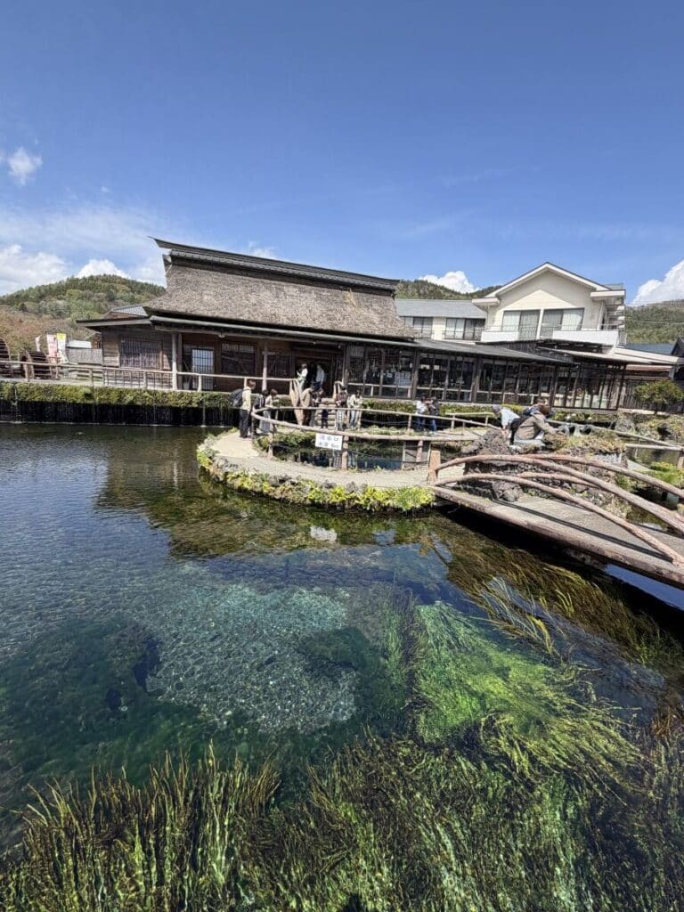View of the large clear pond at Oshino Hakkai - you can see right to the bottom