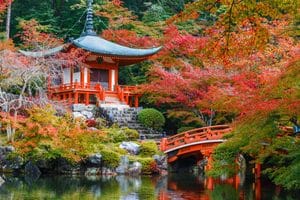Autumn leaves at Daigo-ji in Kyoto