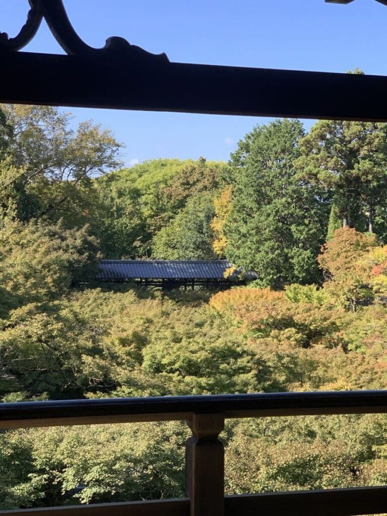 Trees turning yellow at Tofuki-ji bridge in Kyoto