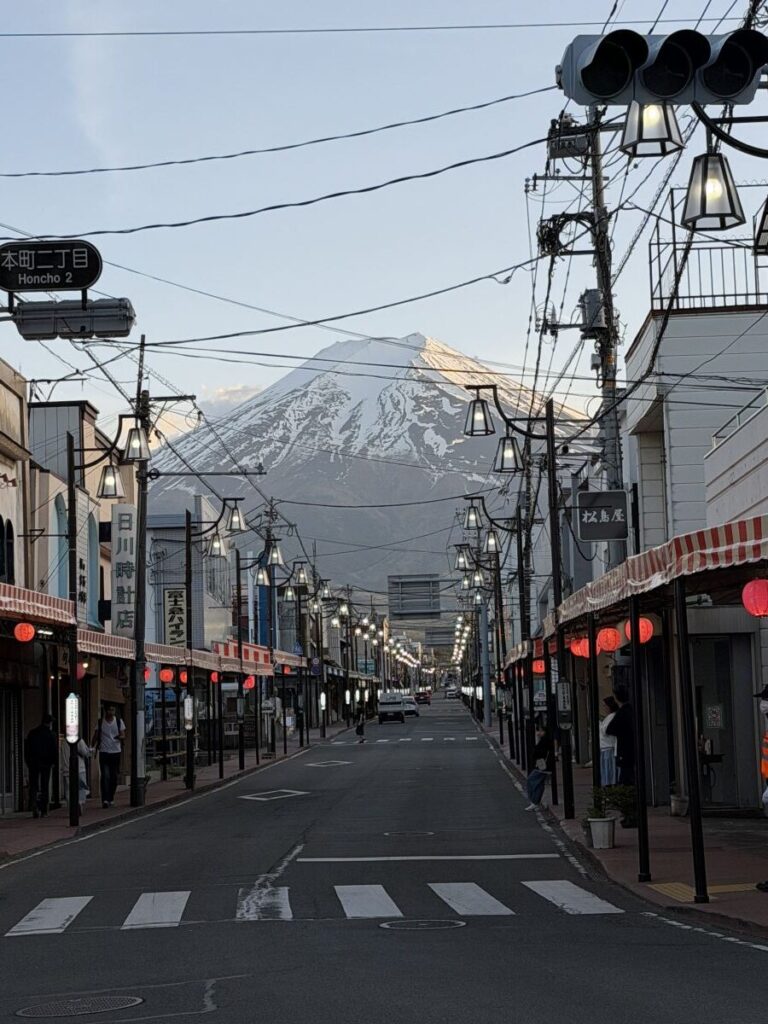 Picture of Honcho Street with Mount Fjji in the background.