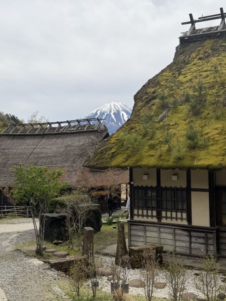 Old thatched houses with moss growing on the roof at Saiko Iyashi-no-Sato Henba