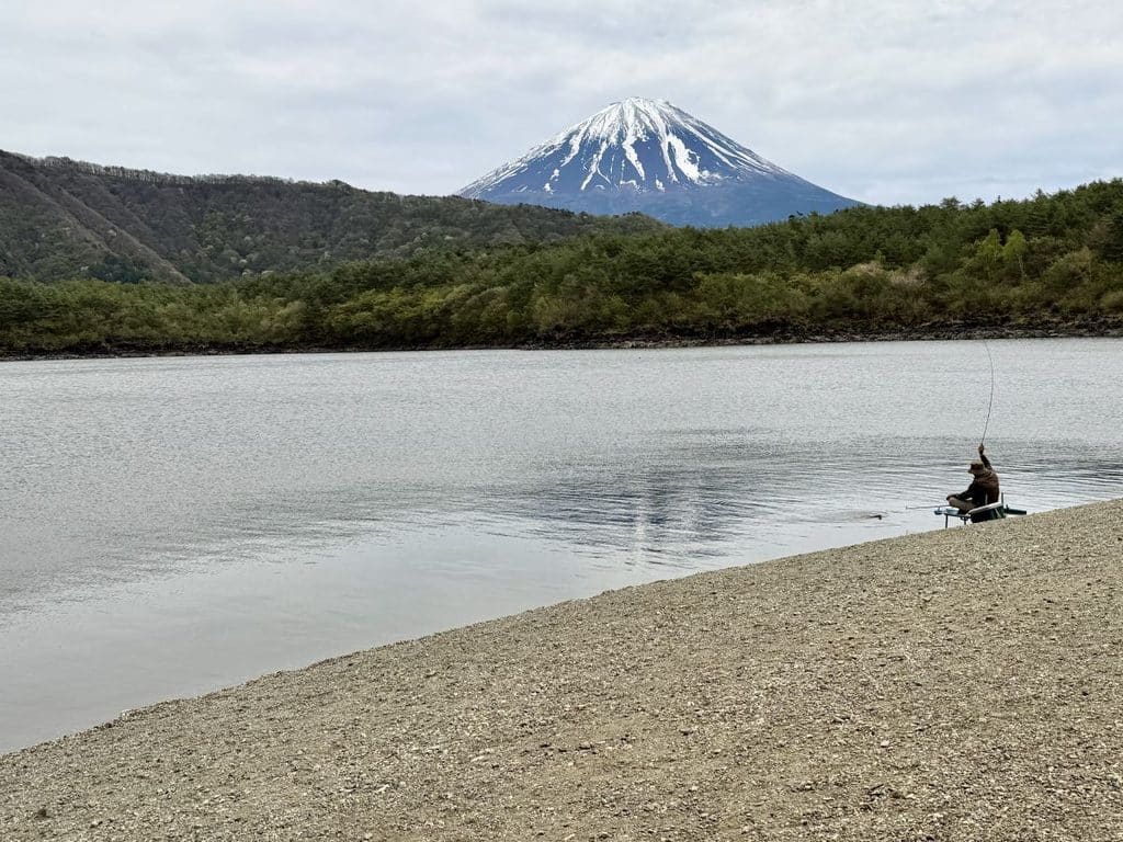 Man sits fishing by Saiko lake - Mount Fuji is in the background.